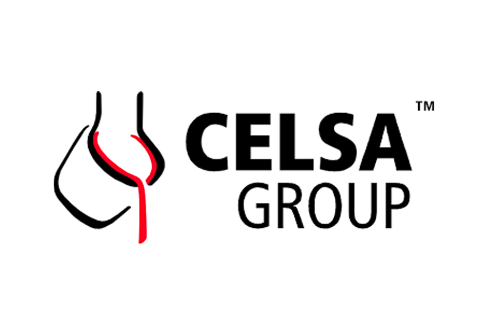 celsa-group