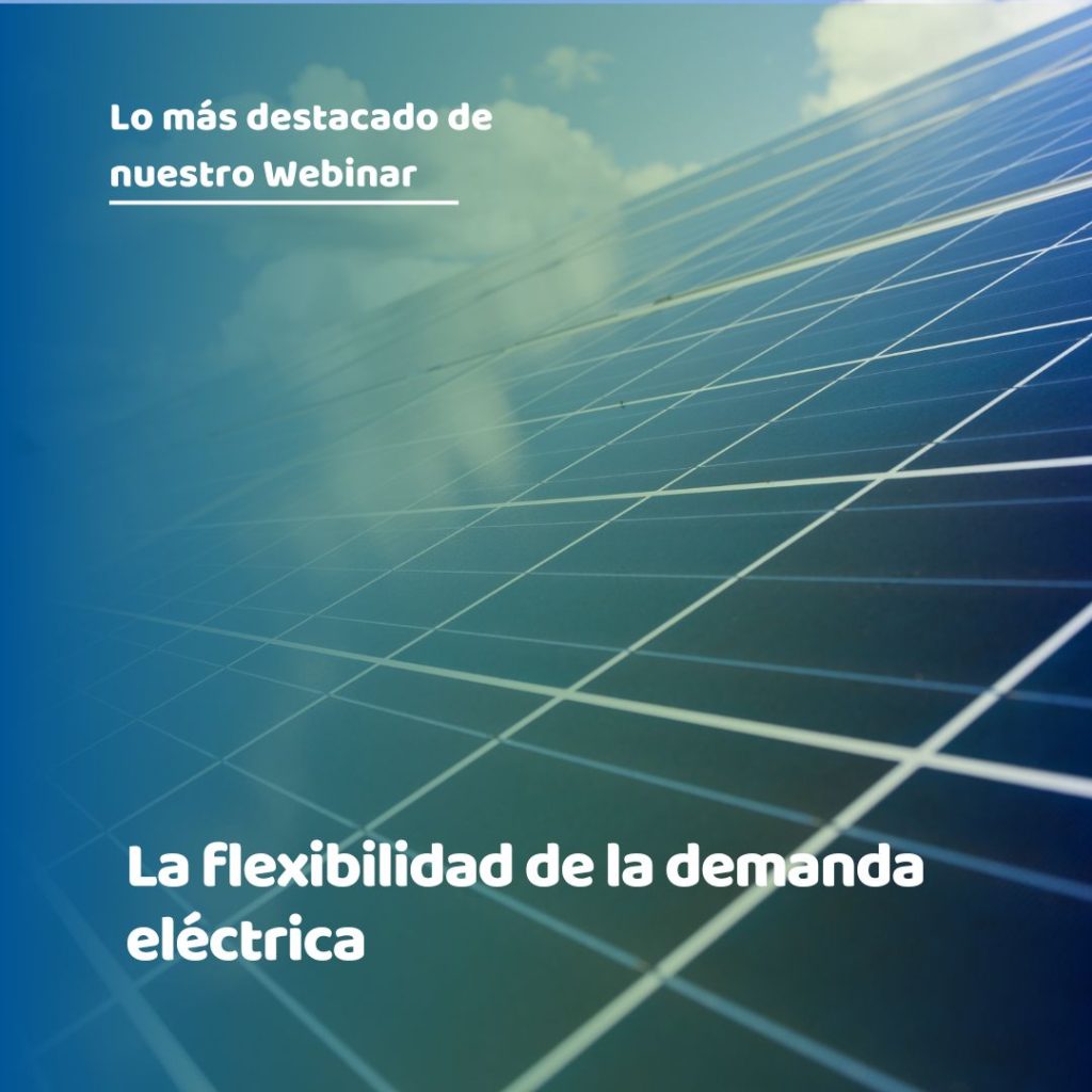 flexibilidad de la demanda eléctrica